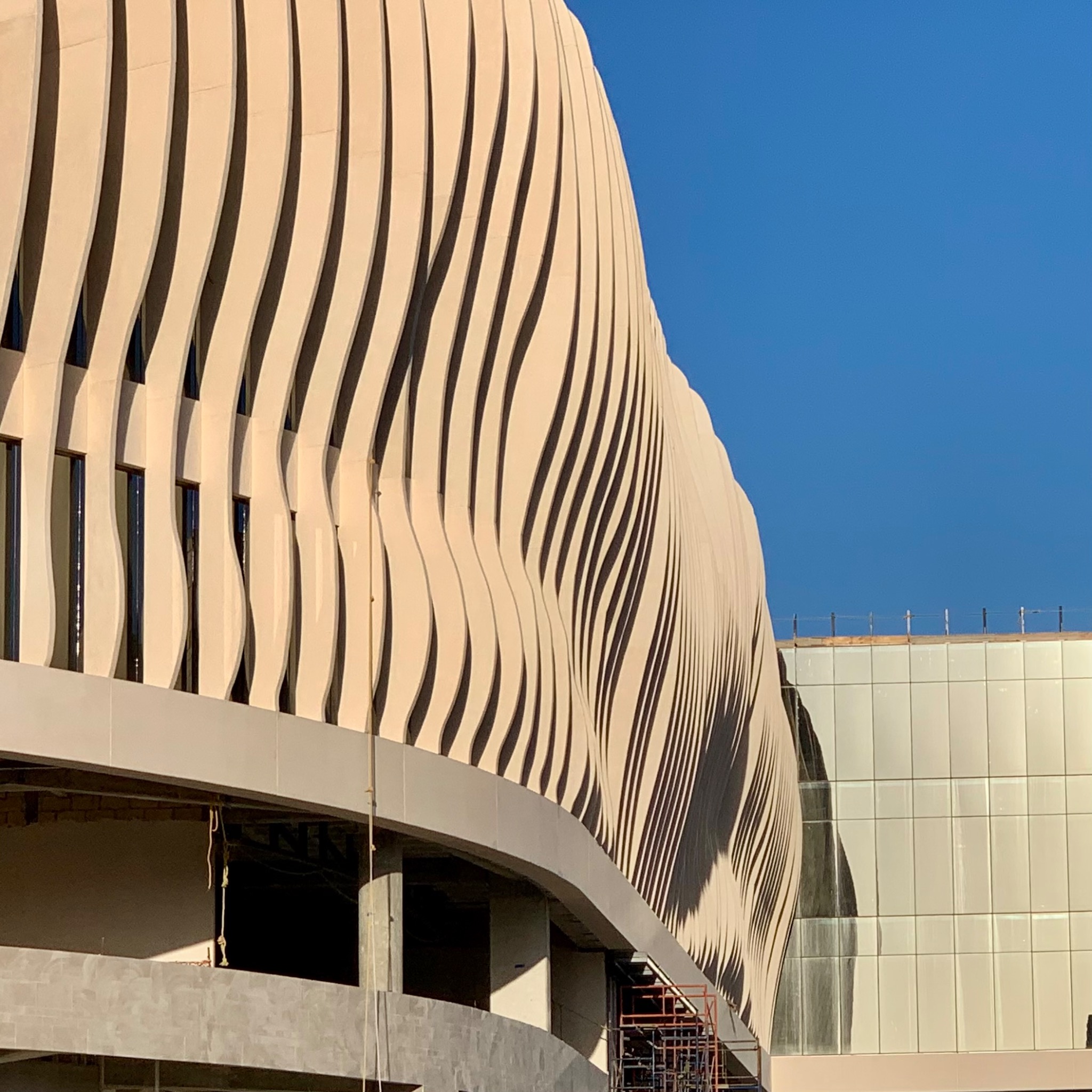 Detalle de la geometría curva de las cartelas